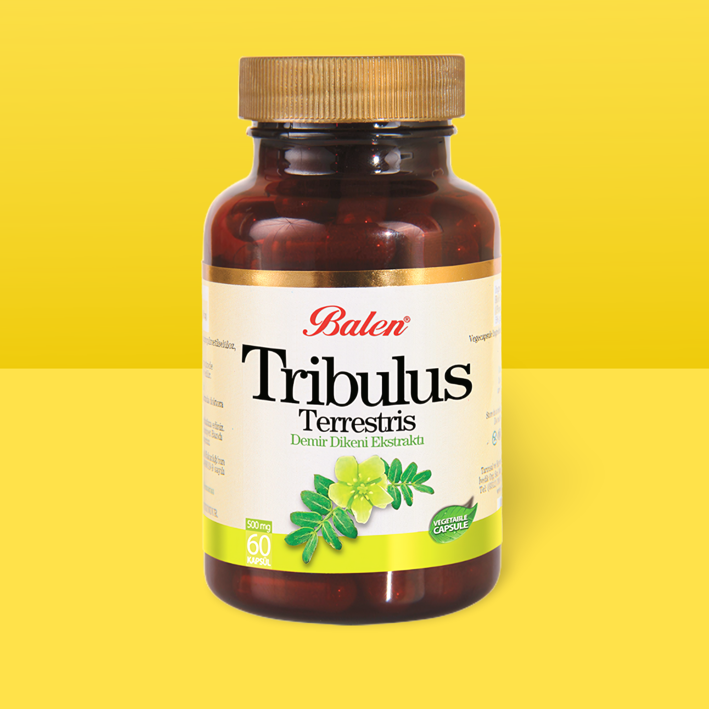 Tribulus%20Terrestris%20(Demir%20Dikeni)%20Kapsülü